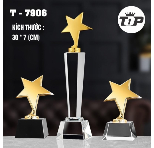 Ngôi Sao Vinh Danh – Honor Star Trophy - 7906