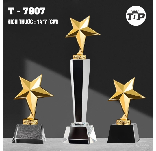 Ngôi Sao Danh Vọng – Prestige Star Trophy - 7907