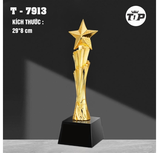 Ngôi Sao Vươn Cao – Rising Star Trophy - 7913