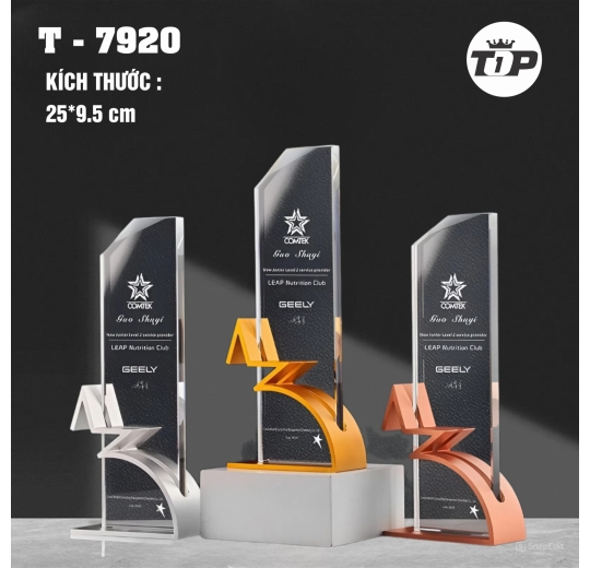 ước Nhảy Thành Công – Leap of Success Trophy - 7920