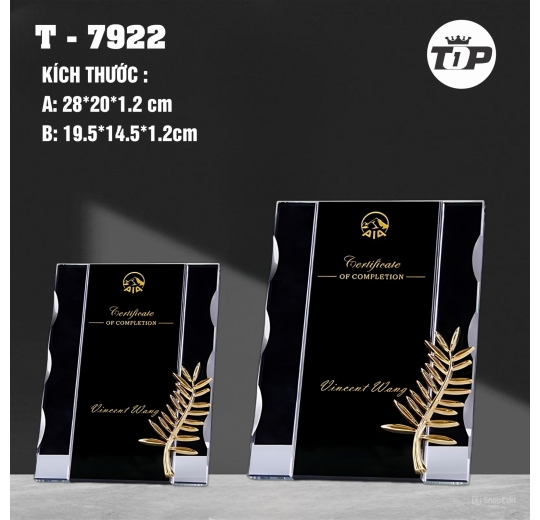 Vinh Dự Vàng Son – Golden Honor Plaque - 7922