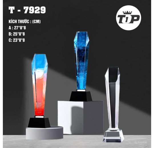 Tinh Hoa Bền Vững – Essence of Excellence Trophy - 7929