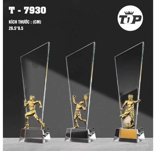 Vinh Quang Thể Thao – Sports Glory Trophy - 7930