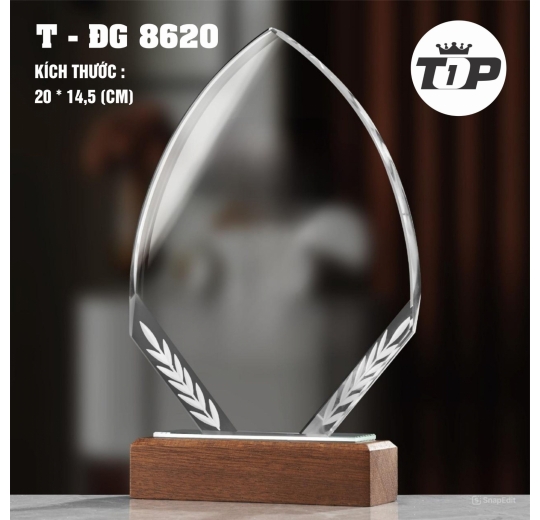 Vầng Sáng Vinh Danh – Honor Light Trophy - ĐG 8620