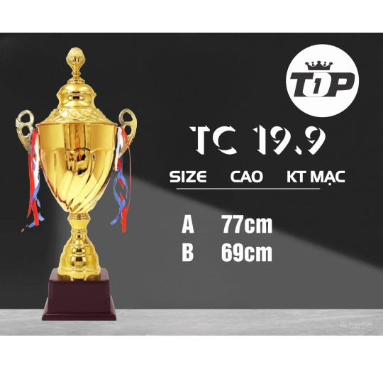 Cúp Thể Thao TC 19.9