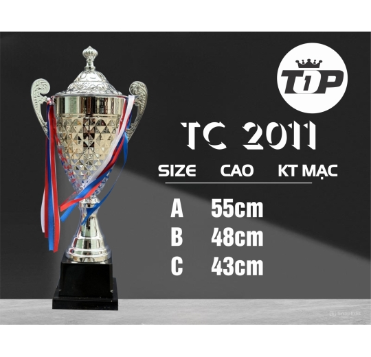 Cúp Thể Thao TC 2011