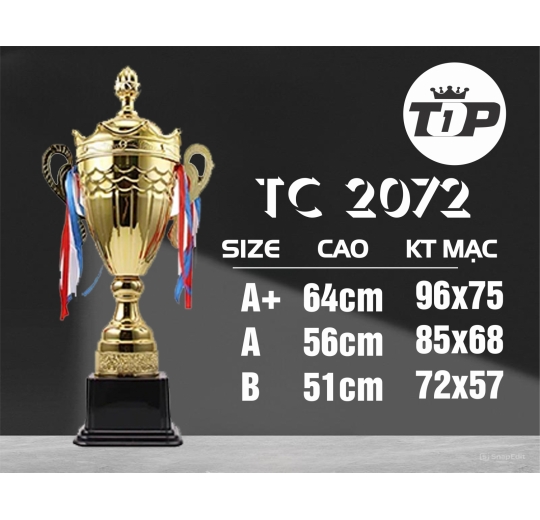 Cúp Thể Thao TC 2072