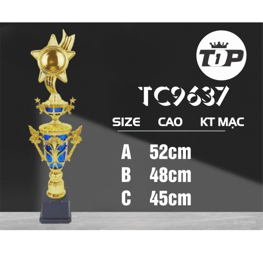 Cúp Thể Thao TC9637