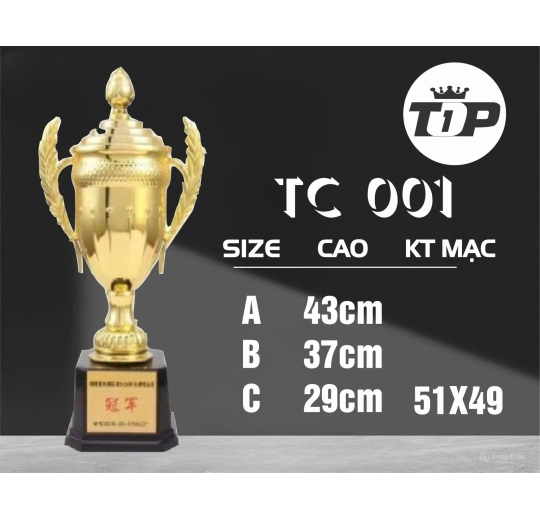 Cúp Thể Thao TC 001